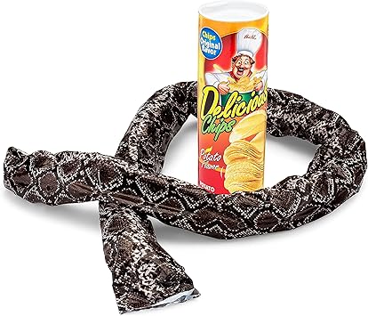 snake in a can funny gift idea