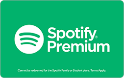 Spotify_Annual_DIG_CR80_081519_300x190_RGB-2