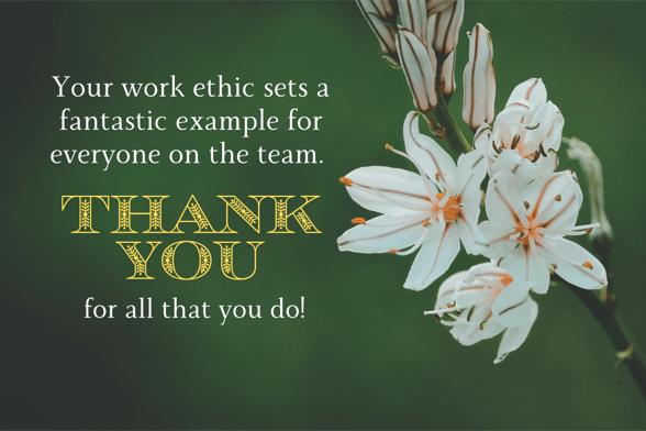 employee appreciation quote