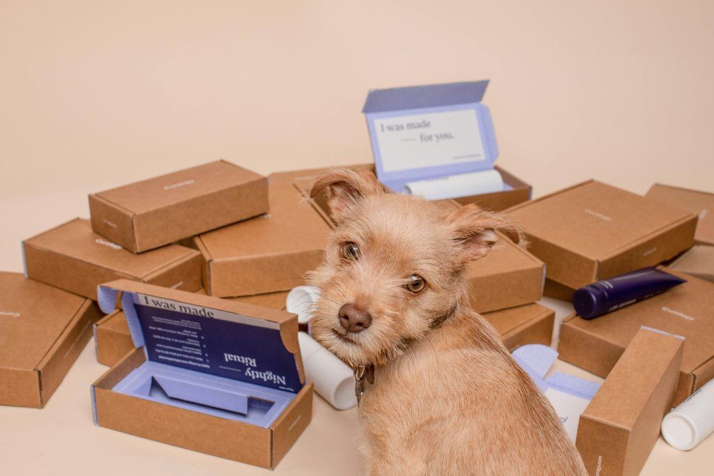 subscription box as a Christmas gift for clients