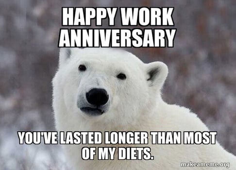 happy work anniversary meme polar bear you've lasted longer than most of my diets