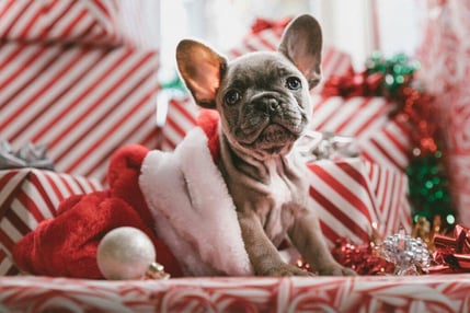 employee engagement during the holidays 