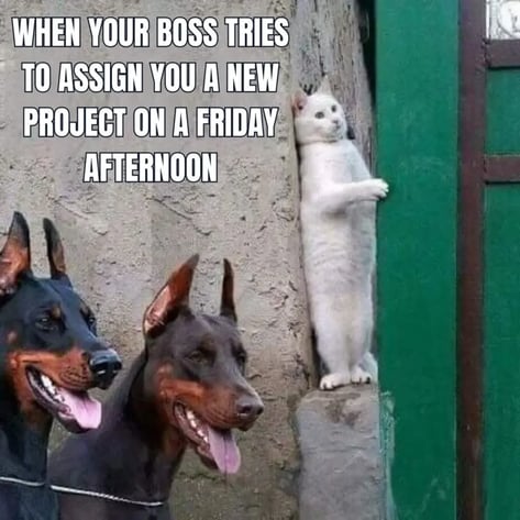 50 Hilarious Friday Memes to Get You Through the Workday 11 friday meme about hiding from your boss