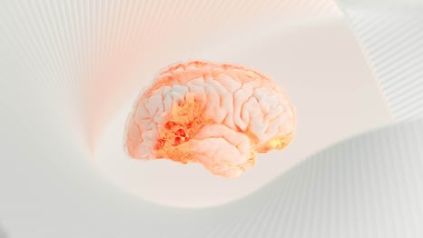 human-brain-on-a-white-surface